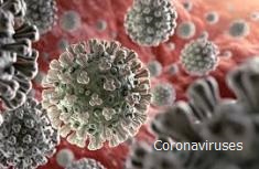 Coronaviruses - contagious.