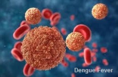 Dengue Fever causes epidemics.