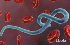 Ebola causes epidemics.