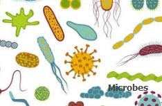 Microbes - contagious.