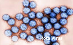 Rotavirus causes outbreaks.