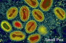Smallpox is a global problem.