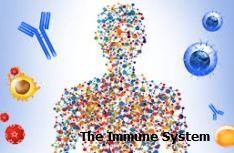 The_Immune_System causes epidemics.