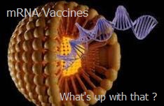 mRNA Vaccines - infectious.
